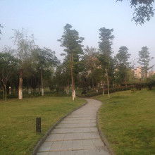 重庆园林绿化工程价格 重庆园林绿化工程批发 重庆园林绿化工程厂家 